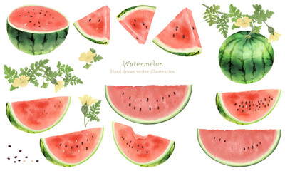 すいかの素材セット（水彩画）