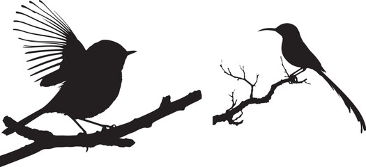  bird  silhouette white background 
