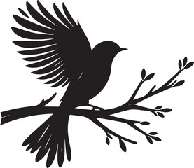 bird  silhouette white background