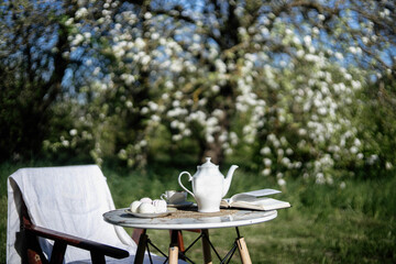 table and chair in the garden of a private house, tea party in the garden.