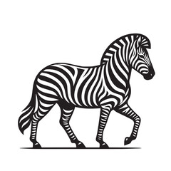 Obraz premium zebras, white background, vector illustration. one line zebra illustration 