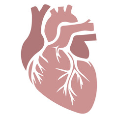 Human heart flat design