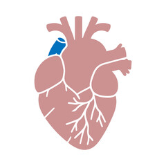 Human heart flat design