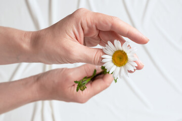 Cosmetic preparations based on chamomile. Skin care cosmetics. Anti-inflammatory agents. Clear Skin. Dermatology