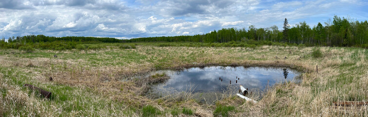 Small pond and wetland during spring in Canosia Wildlife Management Area in Minnesota