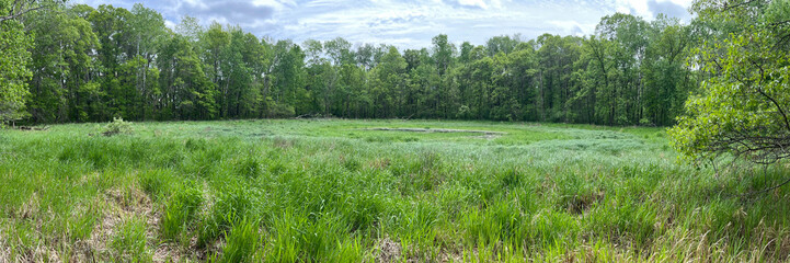Small wetland during spring in Ereaua Wildlife Management Area in Minnesota