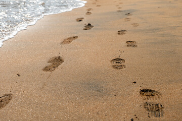 Solitary Journey Along the Shoreline