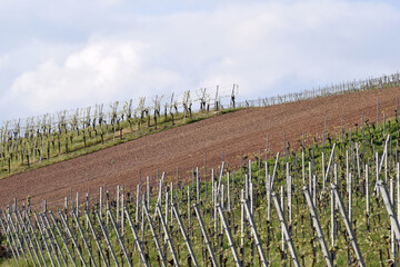 Weinberg