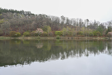 春の蓼科湖，長野県
