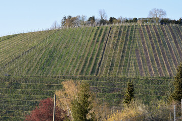 Weinberg