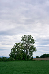 Cultural landscapes of Toten, Norway, in late May.