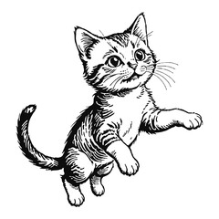 Obraz premium Moggie Cat Kitten Hand Drawn Engraved Ink Line Art Sketch Illustration