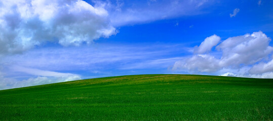 Green Farm Field Crops Blue Sky and Clouds