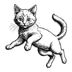 Fototapeta premium Nebelung Cat Kitten Hand Drawn Engraved Ink Line Art Sketch Illustration