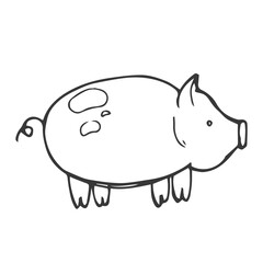 Hand drawn farm pig. Doodle sketch style. Drawing line simple pig icon. Isolated vector illustration.