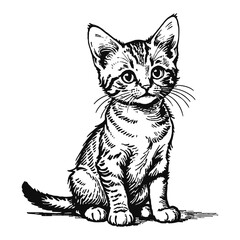 Obraz premium Wild Savannah Cat Kitten Hand Drawn Engraved Ink Line Art Sketch Illustration