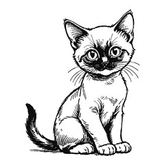 Obraz premium Siamese Cat Kitten Hand Drawn Engraved Ink Line Art Sketch Illustration