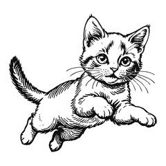 Obraz premium Snowshoe Cat Kitten Hand Drawn Engraved Ink Line Art Sketch Illustration