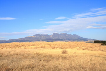 Obraz premium 冬の草原