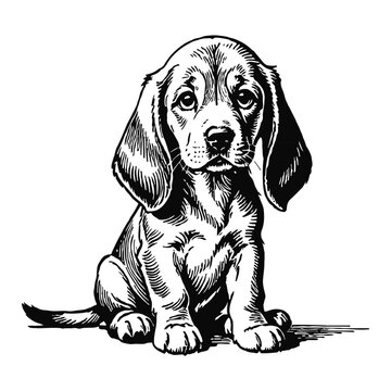recommend clip art: Bloodhound Dog Puppy Hand Drawn Engraved Ink Line Art Sketch Illustration