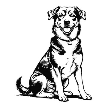 recommend clip art: Brauner Hund Dog Hand Drawn Engraved Ink Line Art Sketch Illustration