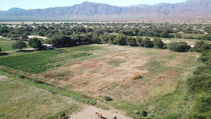 Rural landscape and mountains in northwest Argentina