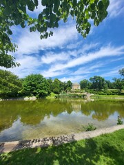 Fototapeta premium lake in the park