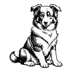 Fototapeta premium Collie Dog Puppy Hand Drawn Engraved Ink Line Art Sketch Illustration