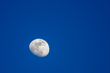 Full moon on a blue background