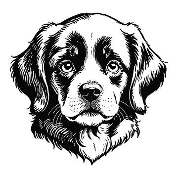 recommend clip art: Newfoundland Dog Puppy Hand Drawn Engraved Ink Line Art Sketch Illustration