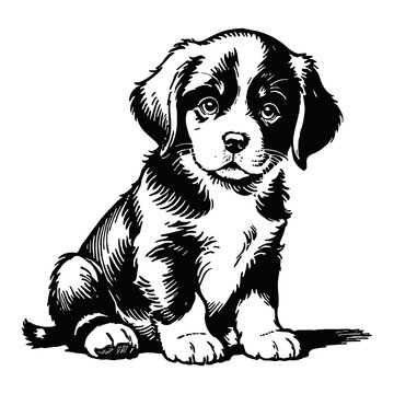 recommend clip art: Newfoundland Dog Puppy Hand Drawn Engraved Ink Line Art Sketch Illustration