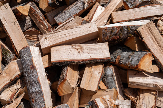 Chopped firewood with oak and maple logs in morning light.