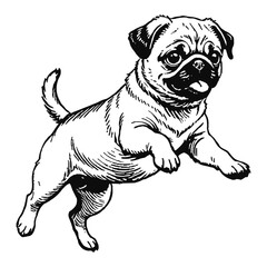 Obraz premium Pug Dog Puppy Hand Drawn Engraved Ink Line Art Sketch Illustration