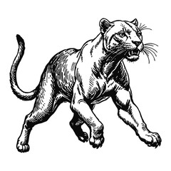 Obraz premium Black Panther Hand Drawn Engraved Ink Line Art Sketch Illustration