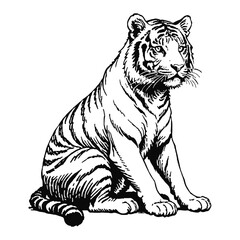 Fototapeta premium Tiger Hand Drawn Engraved Ink Line Art Sketch Illustration