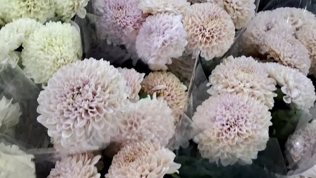 bunch of diasy fowers