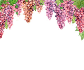 An arch made of grapes is hand-painted in watercolors.