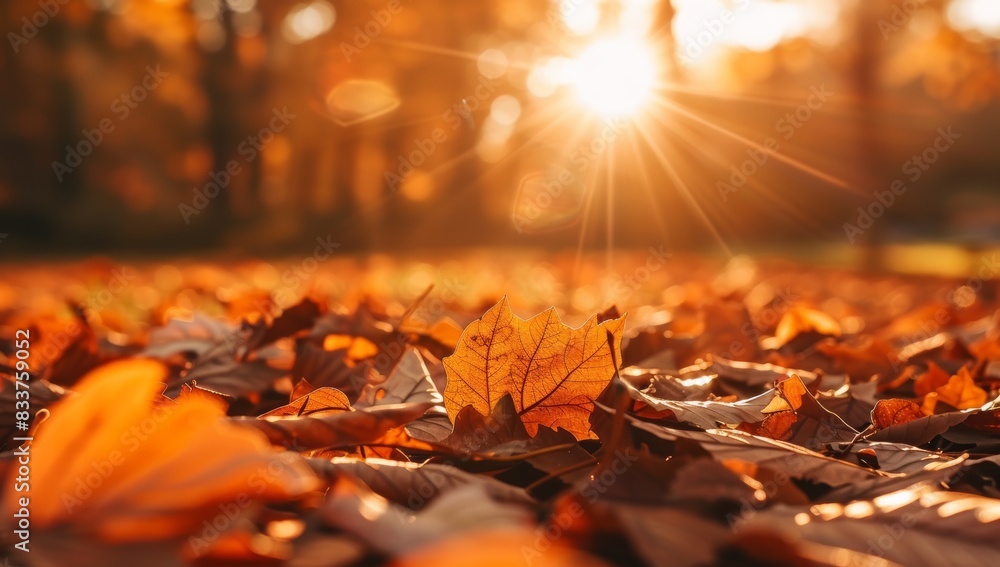 Poster defocused background with bokeh effect of orange maple leaves, generative ai