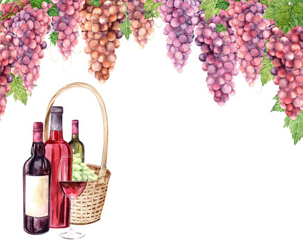 recommend clip art: Wine and grapes in a basket on a background of grapevines