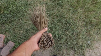 broom in hand, old tree skewer photo cleaning