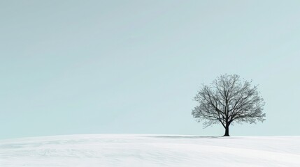 A serene winter landscape with a lone tree in a snow-covered field and a clear sky. Simple and peaceful rural scene.