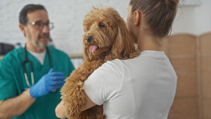 Hispanic veterinarian examines a poodle held by a woman in a clinic