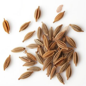cumin seed on a white background herb and vegetables
