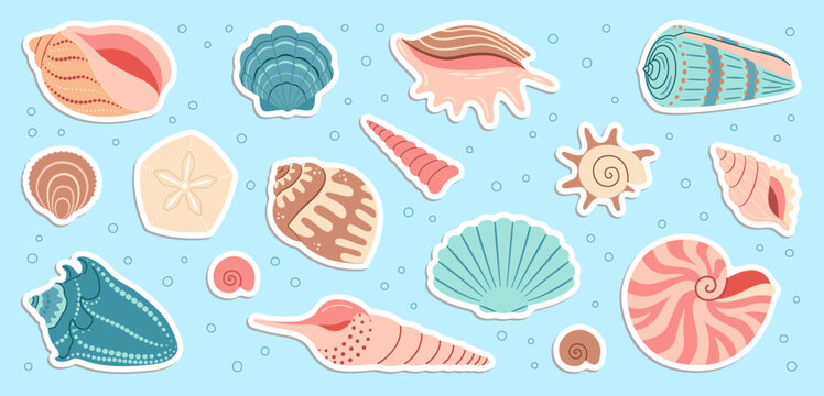 Cute sea shells sticker set. Trendy flat style seashell collection. Ocean underwater sink seashell conch aquatic mollusk. Hand drawn cartoon spiral snail, marine animals. Vector illustration