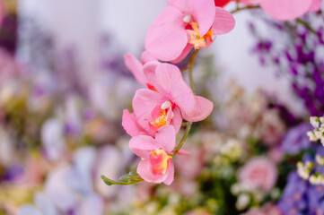 Obraz premium The artificial pink Lion's Mouth Flower or Antirrhinum Majus is almost 90 percent similar to the original. Used for wedding or event decoration