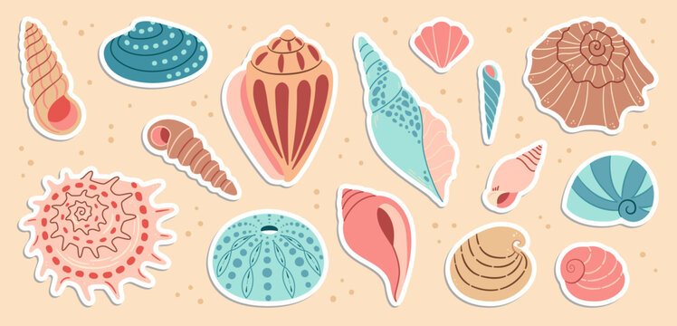 Cute sea shells sticker set. Trendy flat style seashell collection. Ocean underwater sink seashell conch aquatic mollusk. Hand drawn cartoon spiral snail, marine animals. Vector illustration