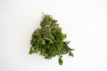 horizontal photograph of fresh mint branch drying on a string and hanging upside down on white wall
