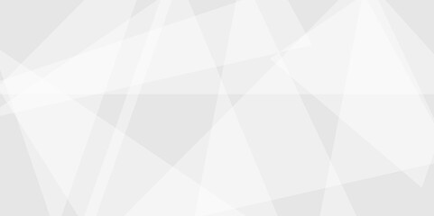 White and grey triangle lines and technology modern background. Abstract geometric smooth triangle shape with soft shadow background, template and banner design. Vector illustration.