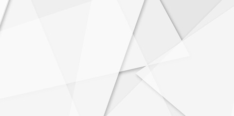 Abstract modern white and grey geometric triangle lines vector background. Design use for poster, template, banner, wallpaper background. Vector illustration.