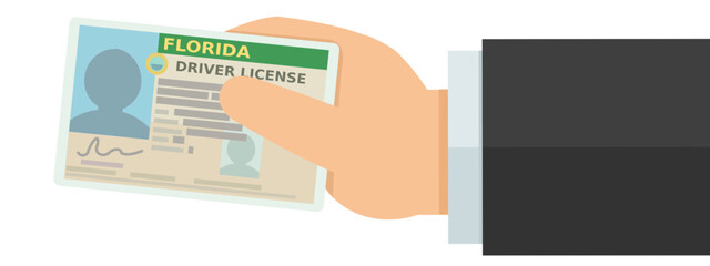 A hand presents a driver's license from the USA state of Florida in flat design style (cut out)